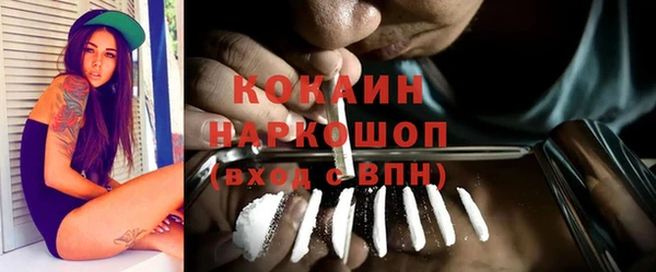 индика Нефтегорск