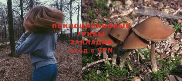 индика Нефтегорск