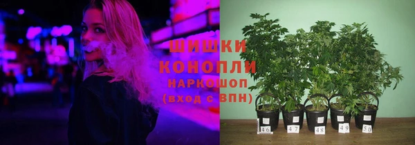 кокс Нея