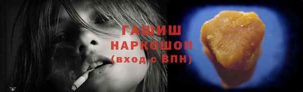 индика Нефтегорск