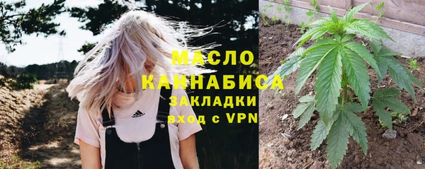 индика Нефтегорск