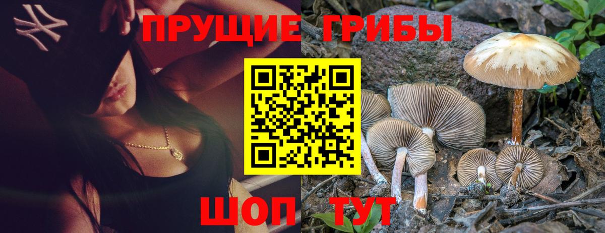 Рубцовск  Псилоцибиновые грибы мицелий  Вход с VPN 