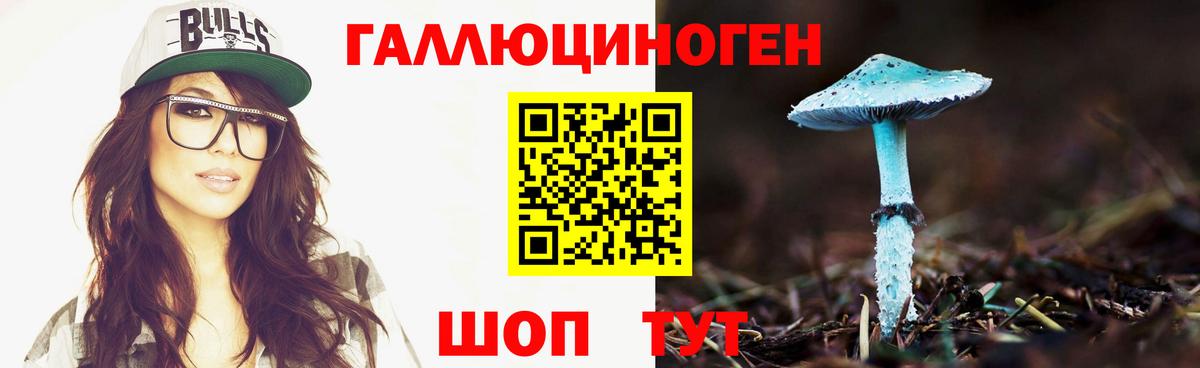 Галлюциногенные грибы Cubensis Рубцовск